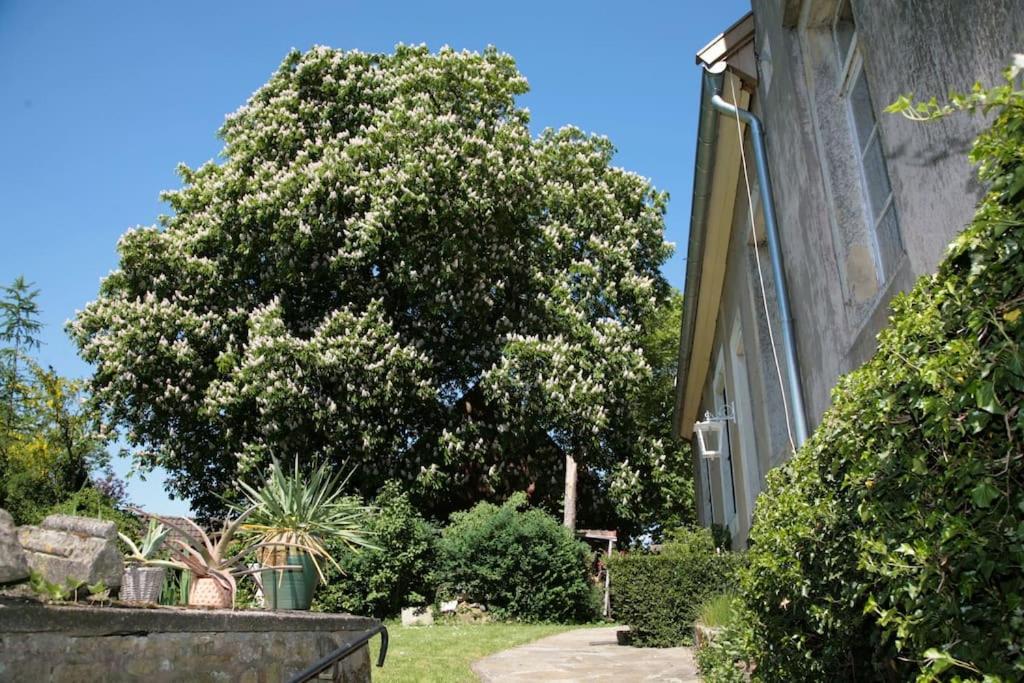 Haus Keppelborg: Zi Ferdinand Mit Rosengartenblick Heek Ngoại thất bức ảnh